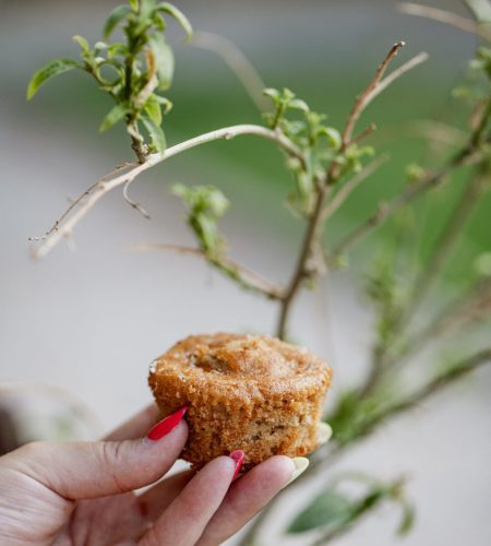 Back to school Cupcake καρότου